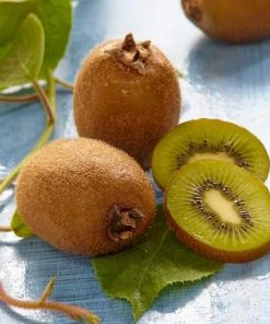 Roots Plants Jenny Hardy Kiwi Plant Fruits