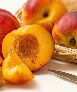 Roots Plants Avalon Pride Peach Tree