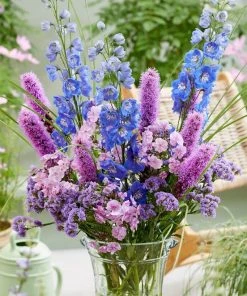 Roots Plants Delphinium 'Magic Fountains Mixed' Perennials 8 Roots Plants Delphinium 'Magic Fountains Mixed' Perennials