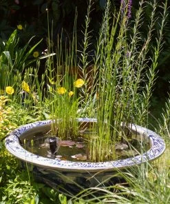 Roots Plants Rough Horsetail | Equisetum Hyemale All Pond Plants