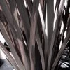 Roots Plants Phormium Platts Black All Shrubs