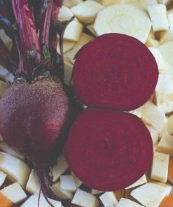 Roots Plants 10 Organic 'Detroit' Beetroot Plants
