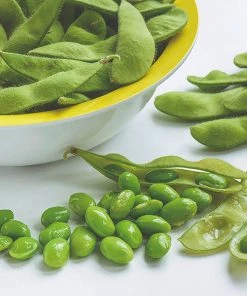 Roots Plants 63 Organic Stir Fry Vegetable Plants All Vegetable Plants