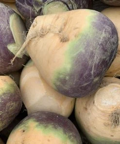 Roots Plants Root Vegetables 10 Organic 'Marian' Swede Plants