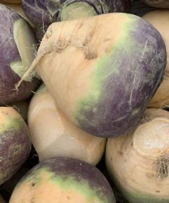 Roots Plants Organic Root Veg Collection | 50 Plants