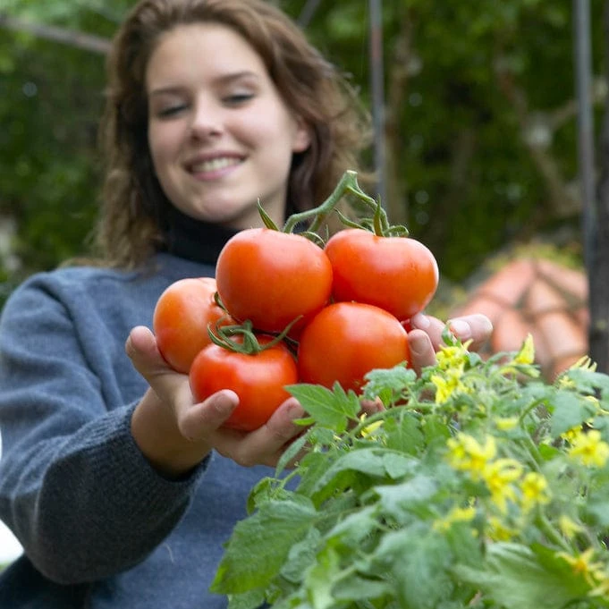 Roots Plants All Vegetable Plants 38 Easy To Grow Vegetable Plants | Ideal For Beginners 4 Roots Plants All Vegetable Plants 38 Easy To Grow Vegetable Plants | Ideal For Beginners