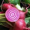 Roots Plants 10 Autumn 'Chioggia' Beetroot